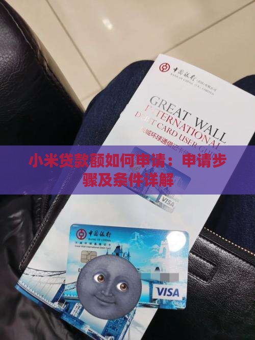 小米贷款额如何申请：申请步骤及条件详解