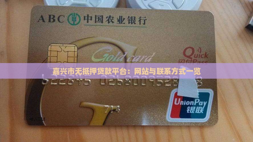 嘉兴市无抵押贷款平台：网站与联系方式一览