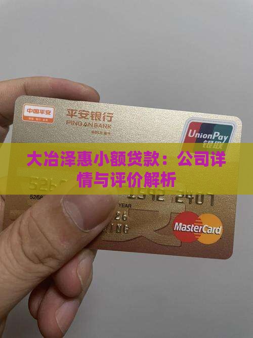 大冶泽惠小额贷款：公司详情与评价解析