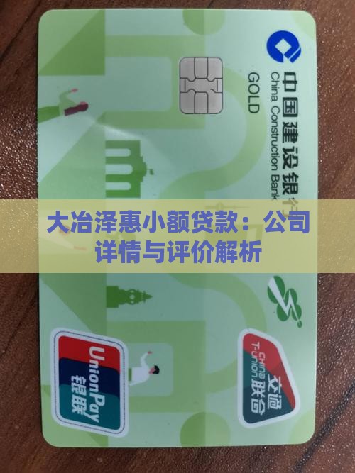 大冶泽惠小额贷款：公司详情与评价解析