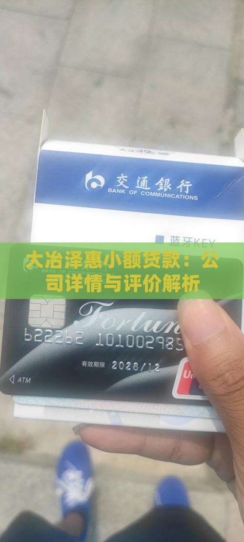 大冶泽惠小额贷款：公司详情与评价解析