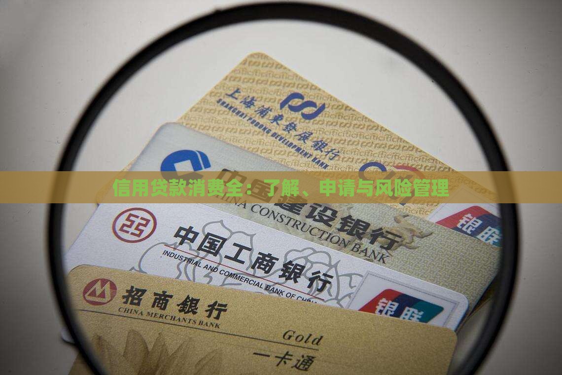 信用贷款消费全：了解、申请与风险管理