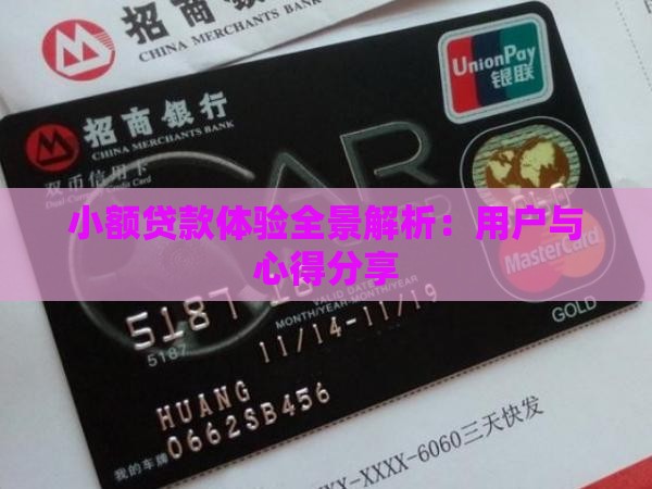 小额贷款体验全景解析：用户与心得分享