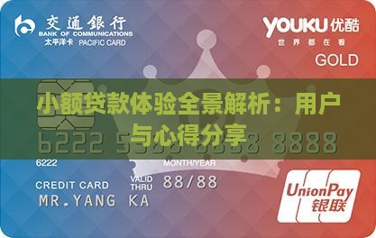 小额贷款体验全景解析：用户与心得分享