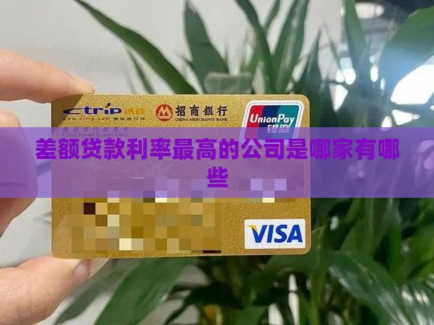 差额贷款利率最高的公司是哪家有哪些