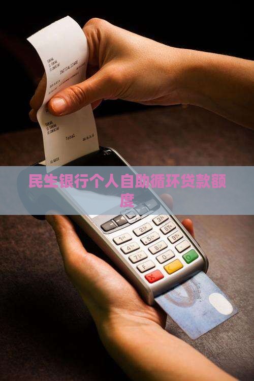民生银行个人自助循环贷款额度
