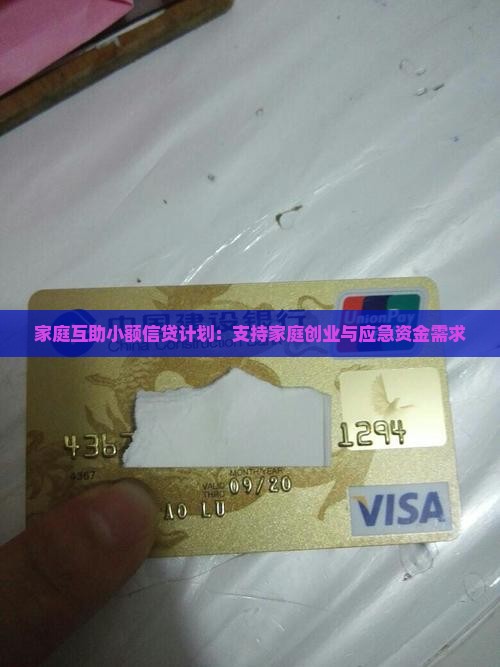 家庭互助小额信贷计划：支持家庭创业与应急资金需求