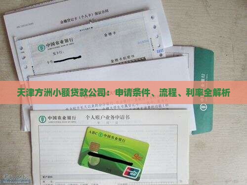 天津方洲小额贷款公司：申请条件、流程、利率全解析