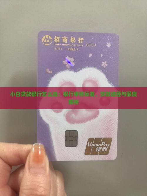 小白贷款银行怎么选：银行审核标准、贷款途径与额度解析