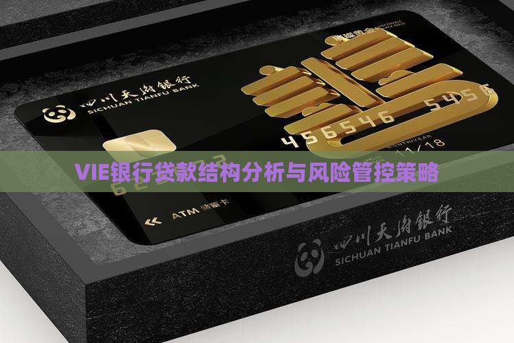VIE银行贷款结构分析与风险管控策略