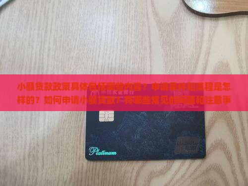 小额贷款政策是什么