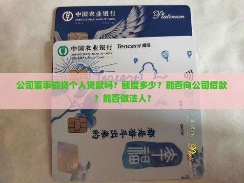公司董事能贷个人贷款吗