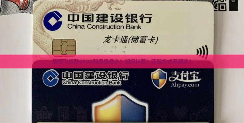 信用飞贷款5000利息