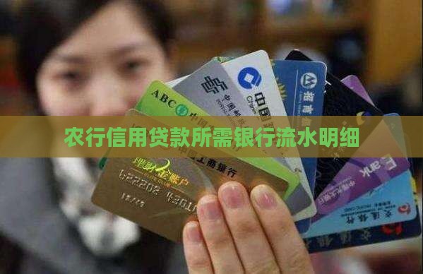 农行信用贷款银行流水