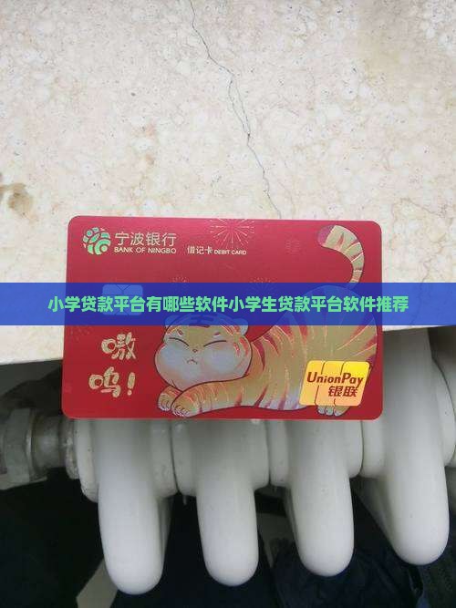 小学贷款平台有哪些软件