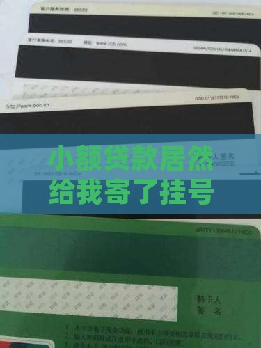小额贷款给我发挂号信
