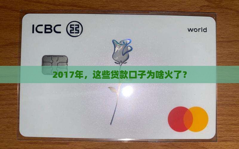 2017最火的贷款口子