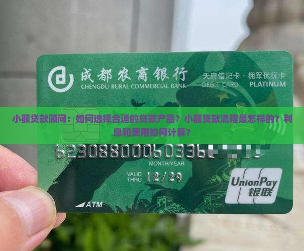 小额贷款顾问