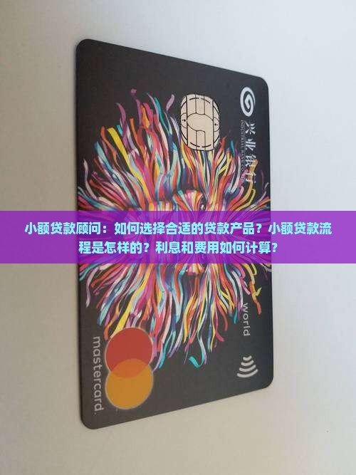 小额贷款顾问