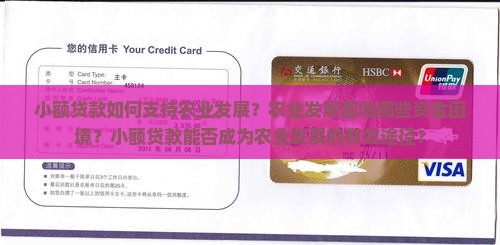 小额贷款与农业发展