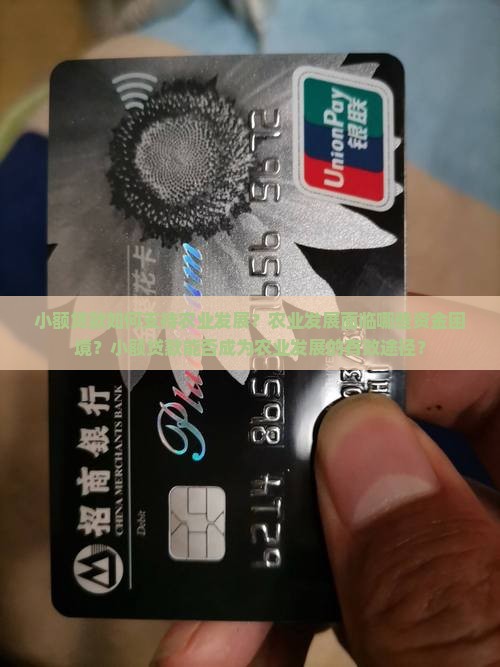 小额贷款与农业发展