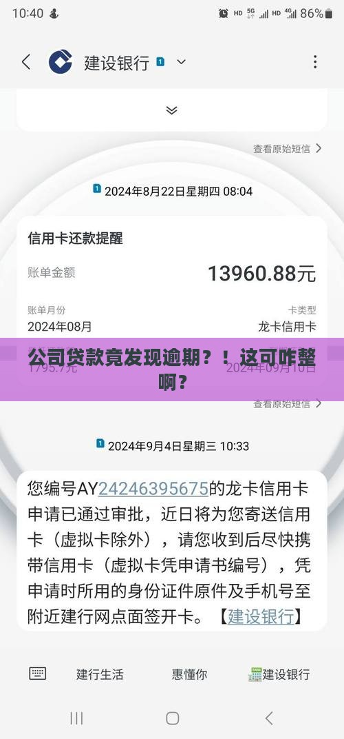 公司贷款查出逾期
