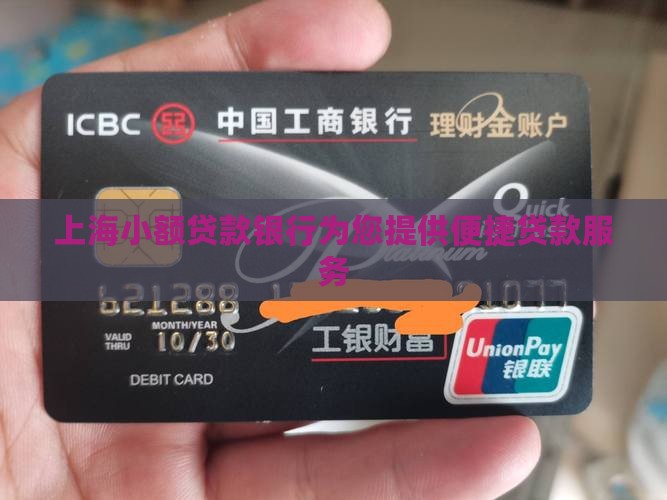 上海办小额贷款银行