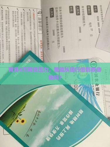 欠网贷4万元怎么向银行贷款还