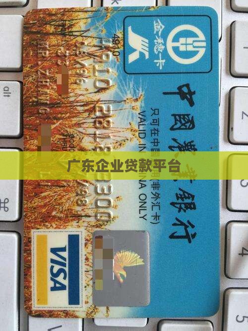 广东创业贷款平台