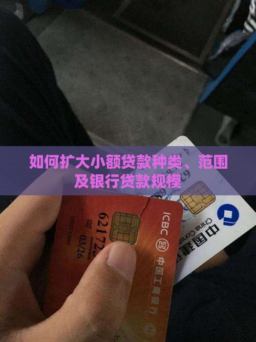 如何扩大小额贷款种类