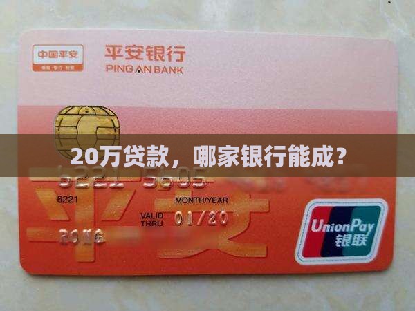 哪个银行能贷款20万