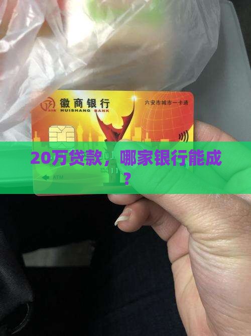 哪个银行能贷款20万