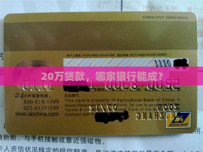 哪个银行能贷款20万