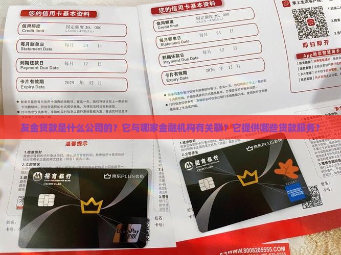 友金贷款是什么公司的