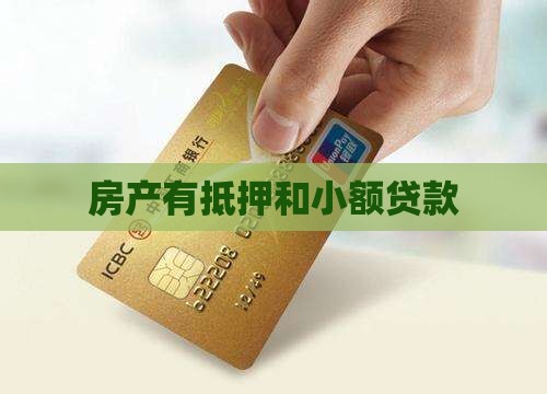 房子有抵押和小额贷款