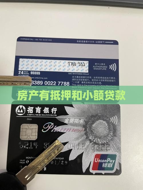 房子有抵押和小额贷款
