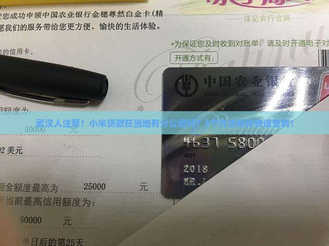 小米贷款武汉有公司吗