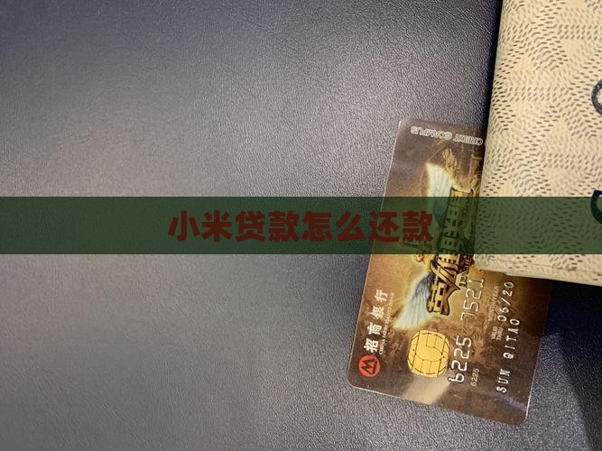 小米钱包贷款怎么还