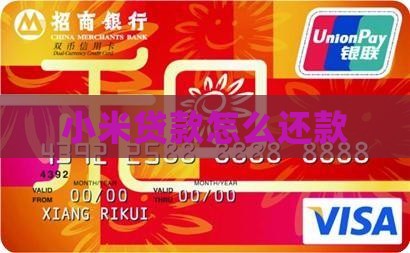 小米钱包贷款怎么还