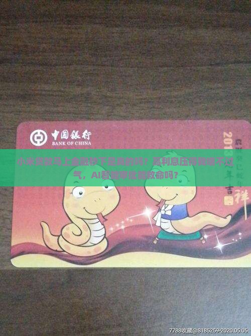 小米贷款马上金融秒下