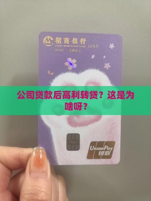 以公司名义贷款高利转贷