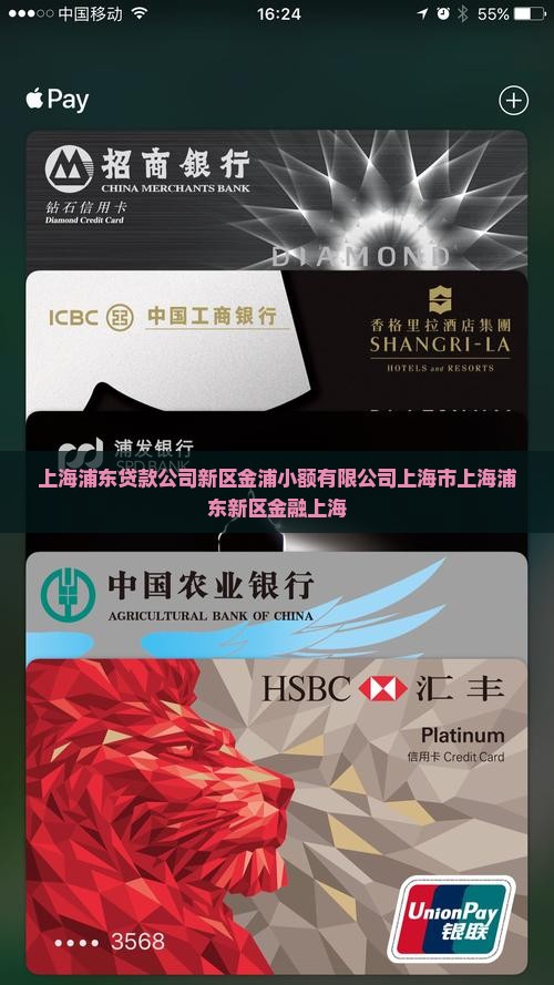 上海浦东做贷款的公司