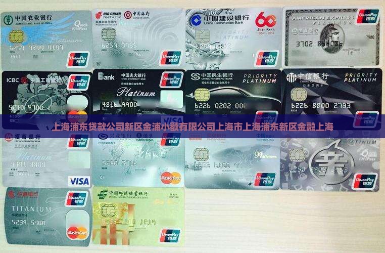 上海浦东做贷款的公司