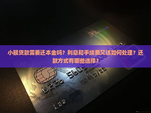 小额贷款需要还本金吗