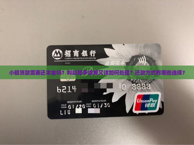 小额贷款需要还本金吗