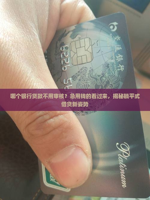 哪个银行贷款不用审核