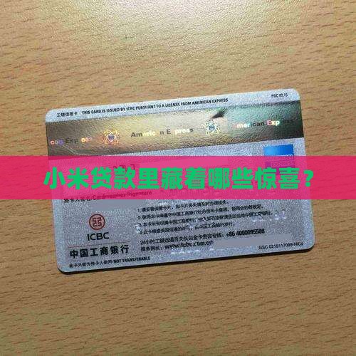小米贷款包含哪些项目