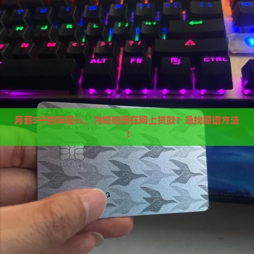 使用网上贷款的人