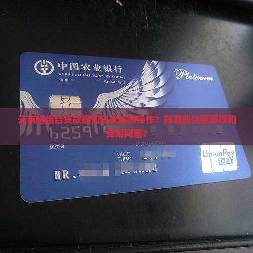 云南省组合贷款提前还款