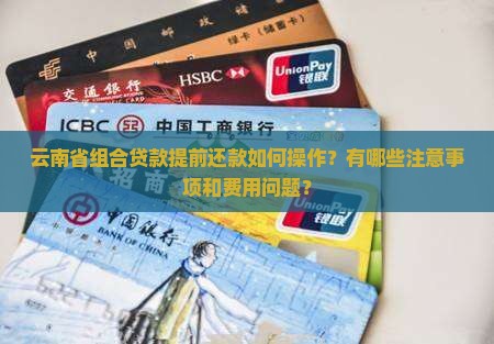 云南省组合贷款提前还款